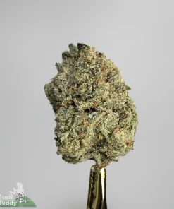 Star Dust - Tom Ford Pink - Snowball Moonrocks (40% THC)