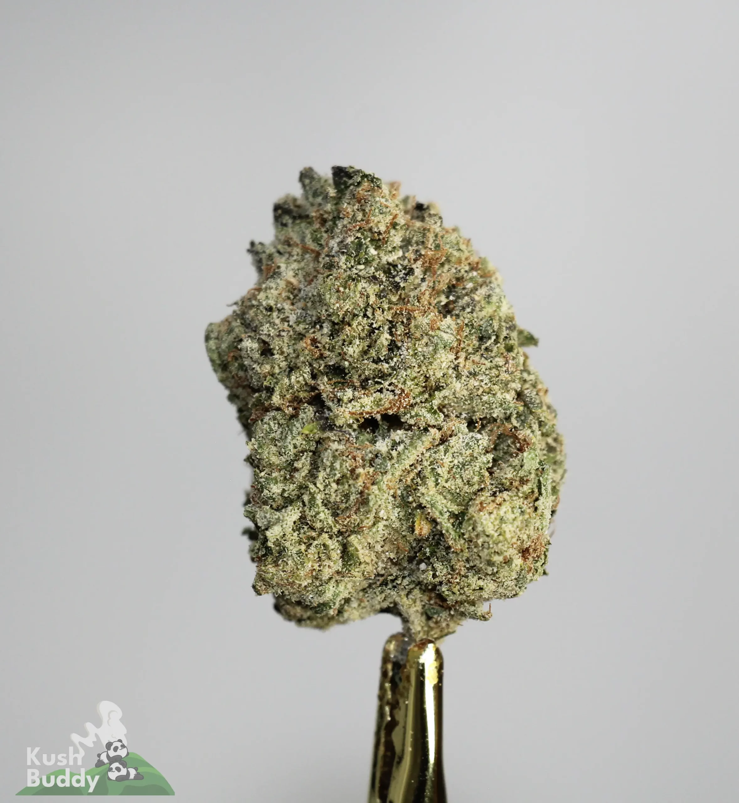 Star Dust - Tom Ford Pink - Snowball Moonrocks (40% THC)