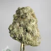 Star Dust - Zombie - Snowball Moonrocks (40% THC)