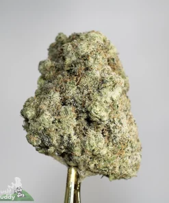 Star Dust - Zombie - Snowball Moonrocks (40% THC)