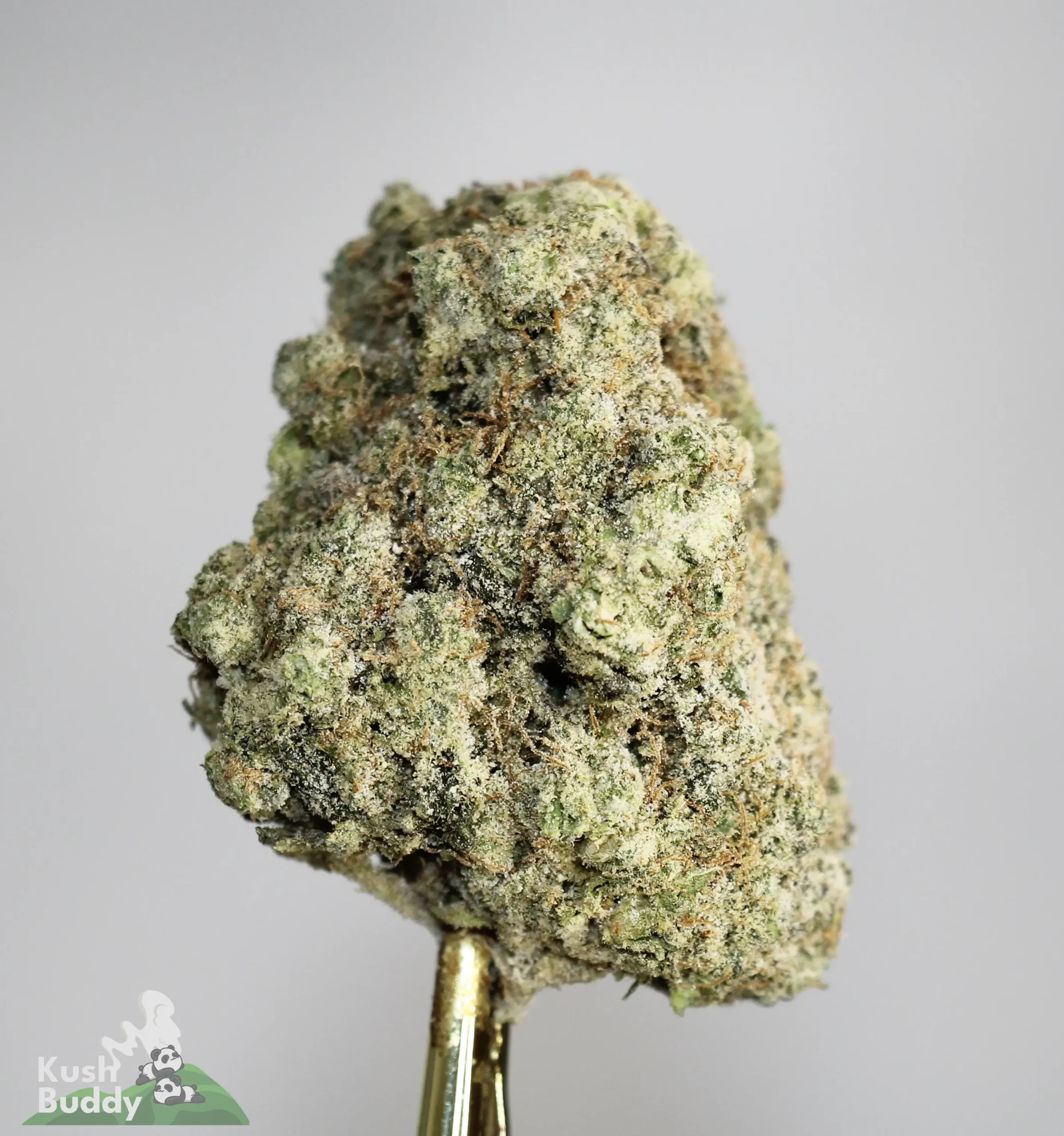 Star Dust - Zombie - Snowball Moonrocks (40% THC)