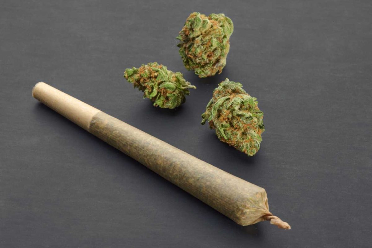 Weed shake cannabis pre roll
