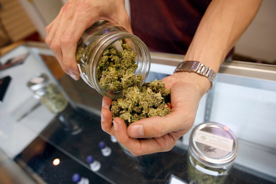 bulk weed in toronto