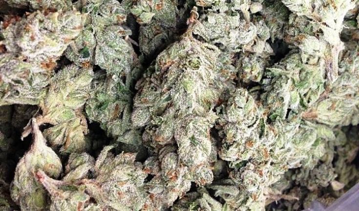Why Buying Weed in Bulk Saves More Than Just Money