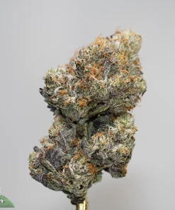 Black Series - Black Water - LSO - Image 2