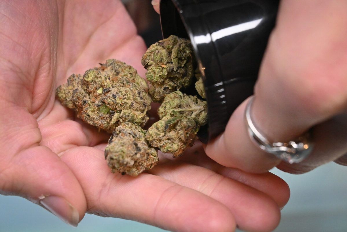 Wholesale Weed Canada: How to Buy Without Getting Scammed