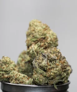 Close-up of frosty cannabis buds stacked in a black container with a Kush Buddy logo in the corner.