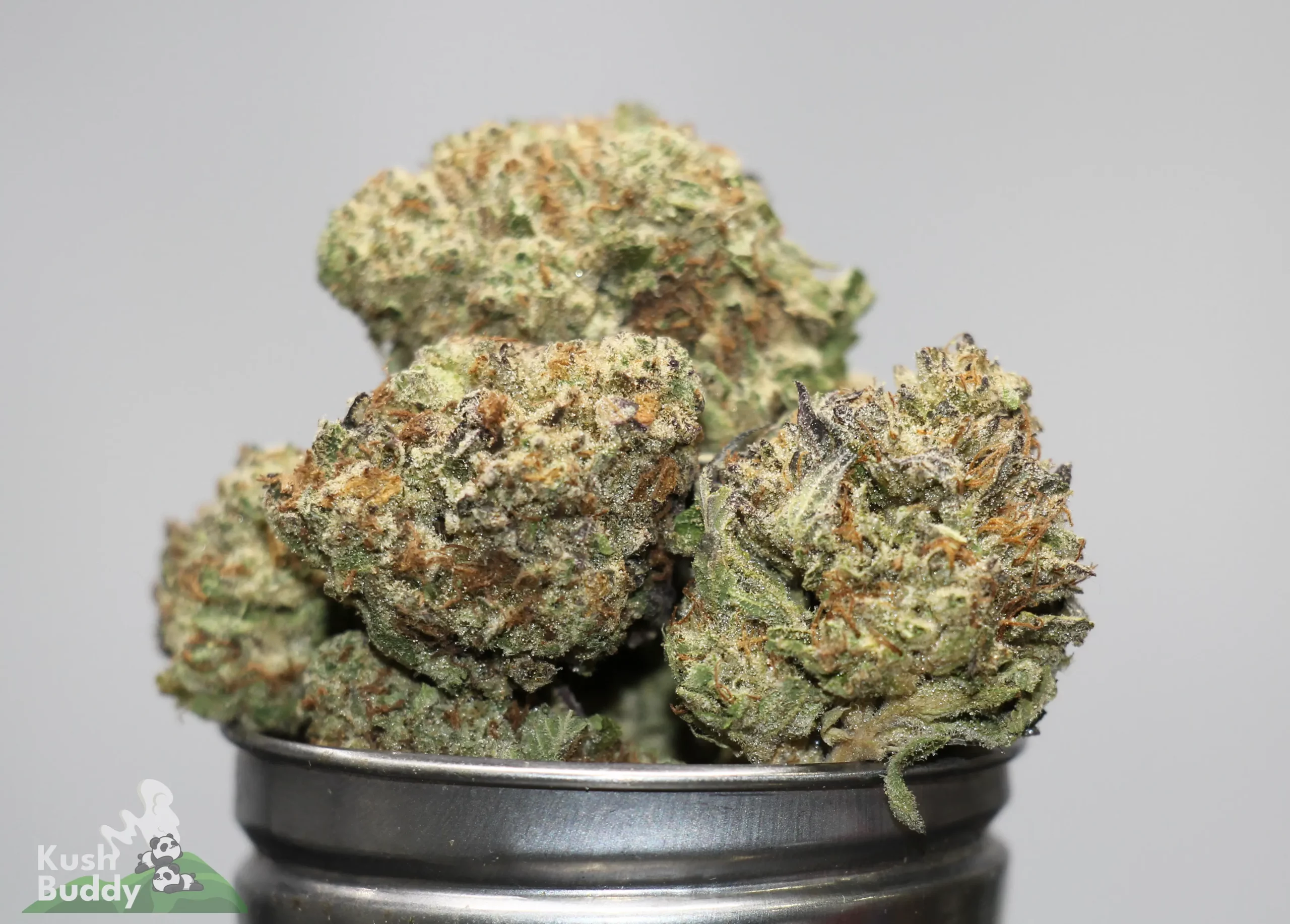Close-up of frosty cannabis buds with green and orange hairs in a metal grinder; Kush Buddy logo in the lower-left corner.