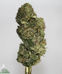 (AA+) Poor Man's Pink - Image 2