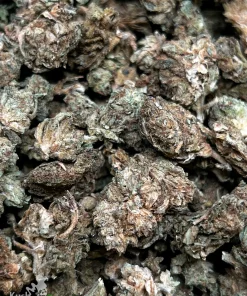 (AA - AAA) Processing Buds - Image 2