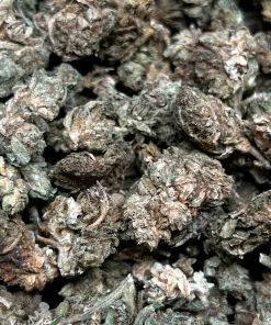 (AA - AAA) Processing Buds - Image 3