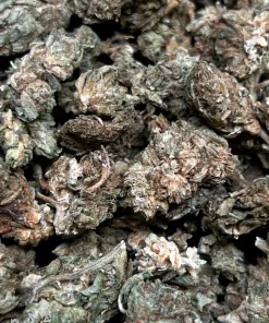 (AA - AAA) Processing Buds - Image 4