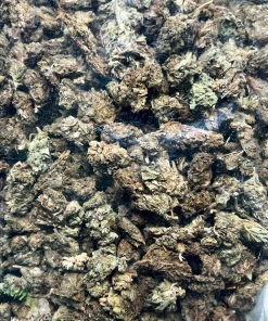 (AA - AAA) Processing Buds - Image 5