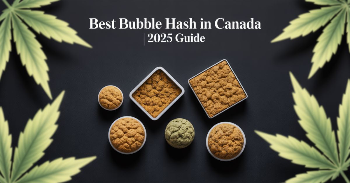 Best Bubble Hash in Canada | 2025 Guide