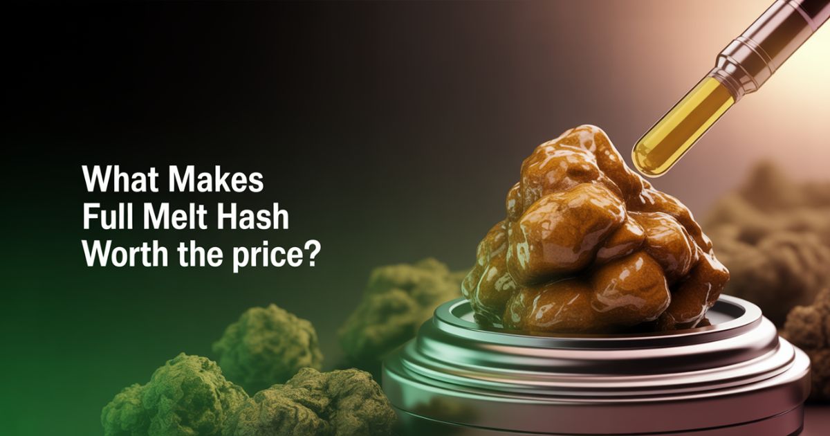 Full Melt Hash Canada | Why It’s Worth the Price