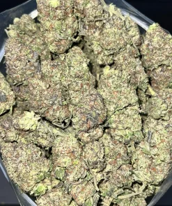 (AAA+) Winter Cookies Kush - Image 3