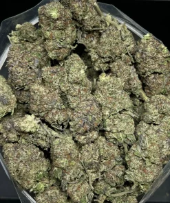 (AAA+) Winter Cookies Kush - Image 2