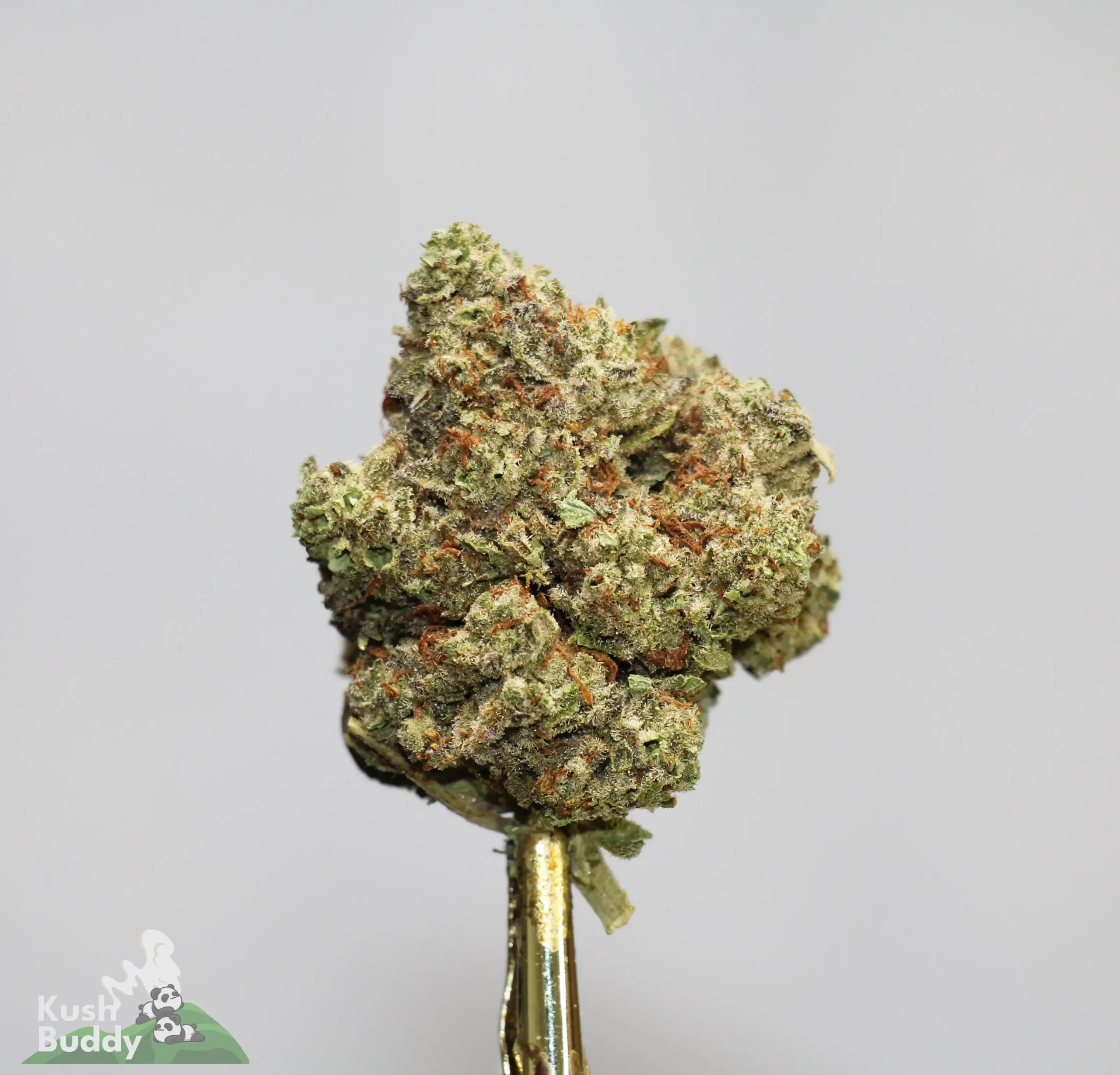 (AAA) LA Kush Cake