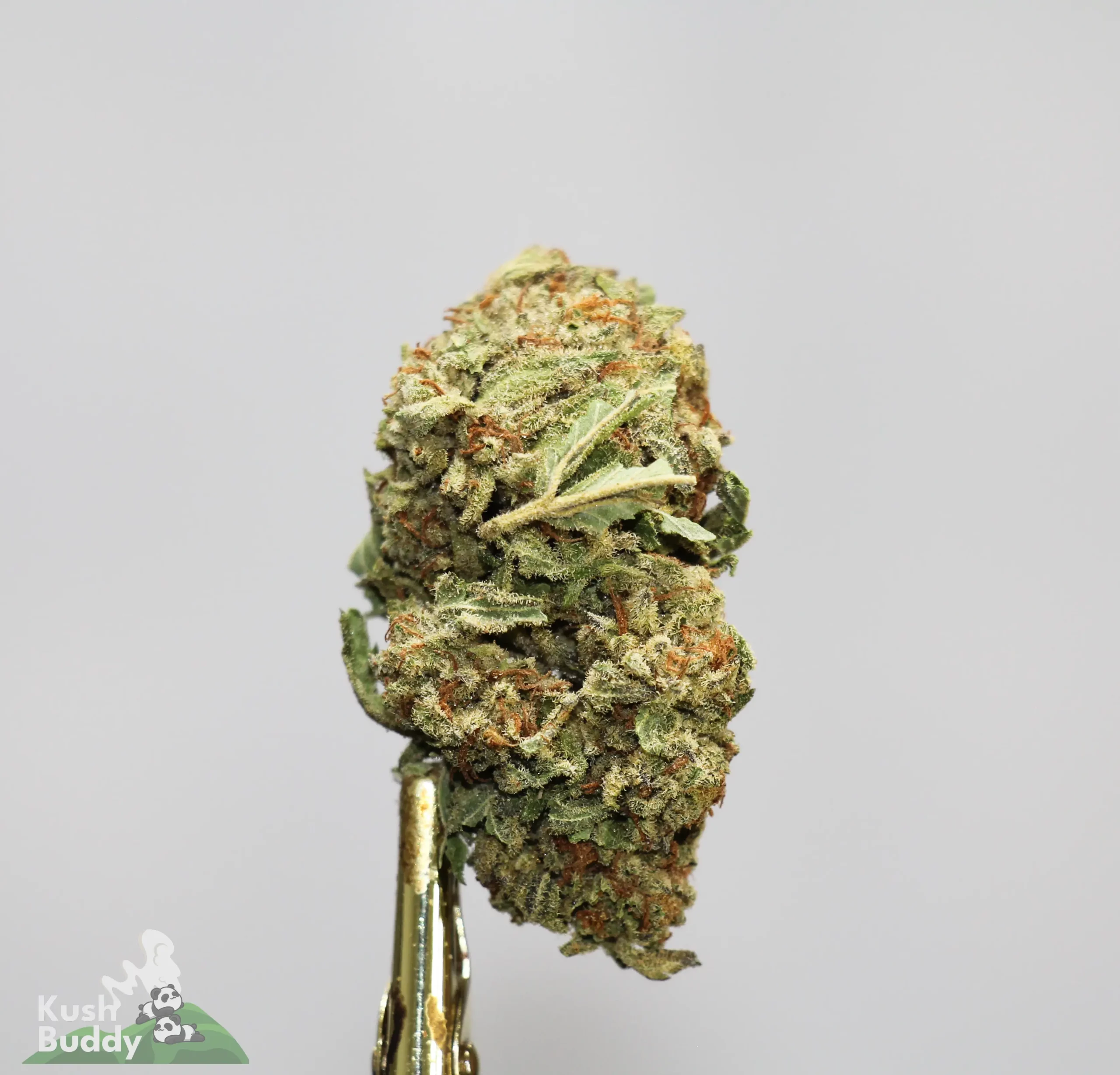 (AAA) LA Kush Cake - Image 4