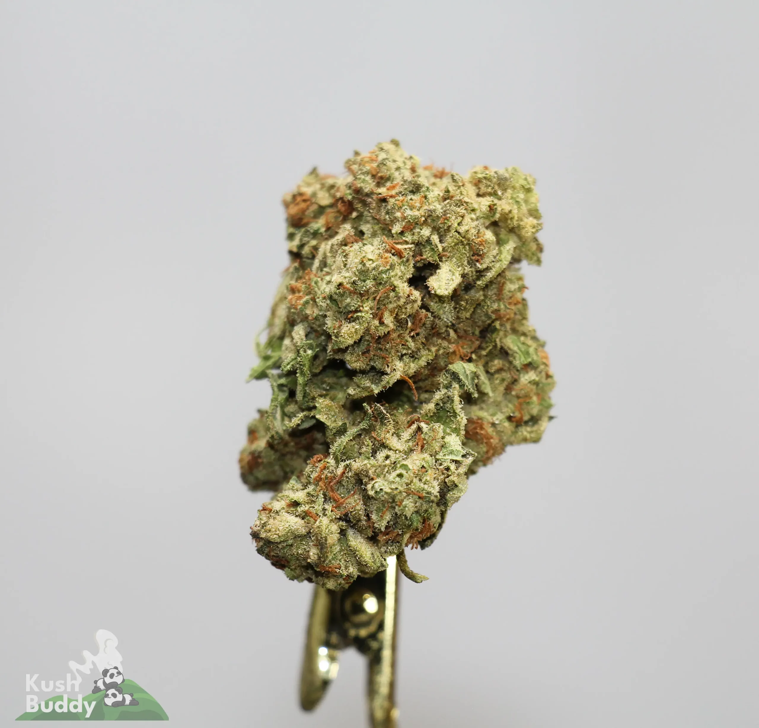 (AAA) LA Kush Cake - Image 3