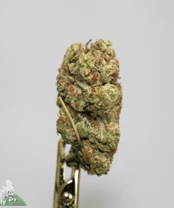 (AAA) LA Kush Cake - Image 2