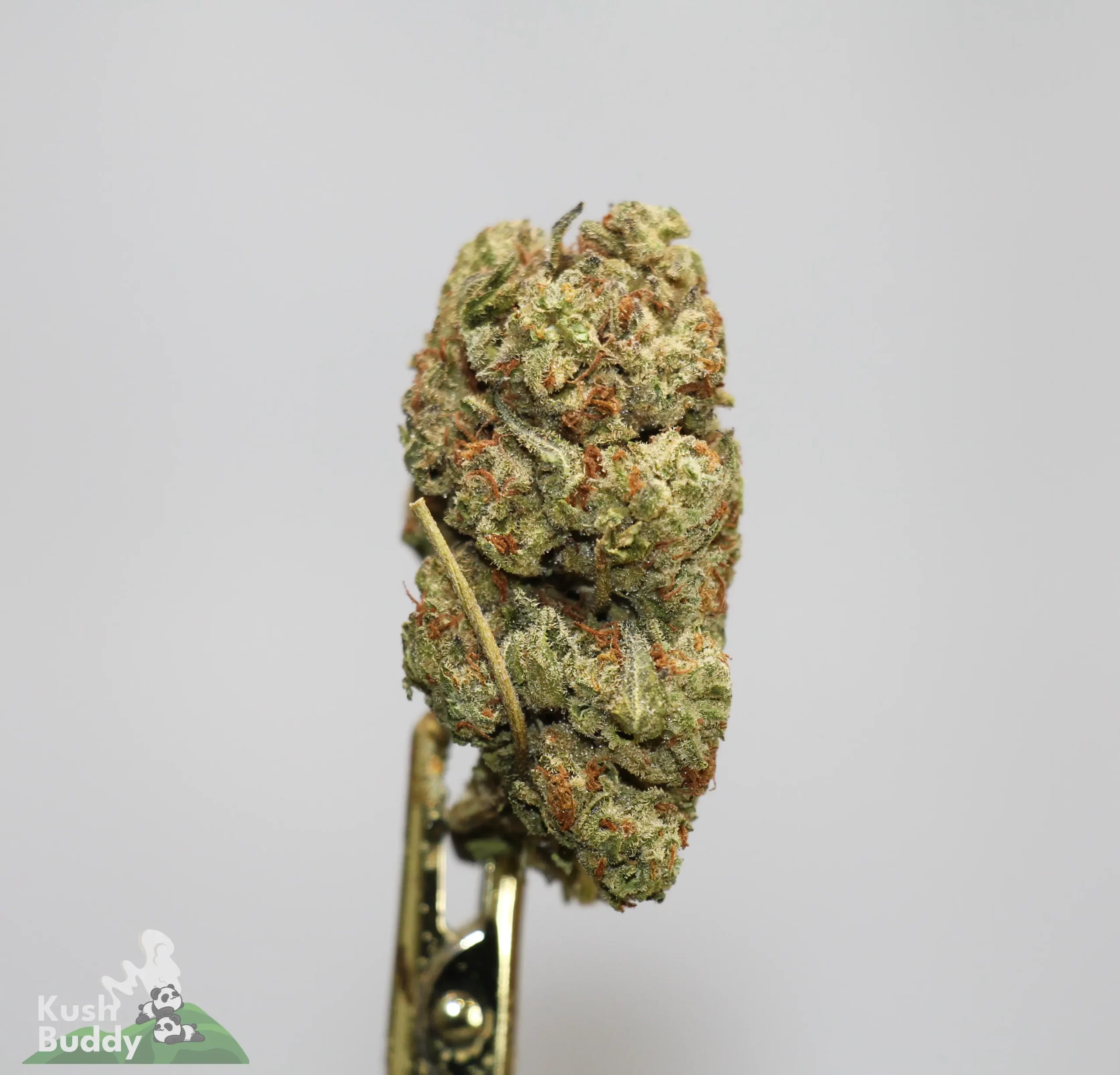 (AAA) LA Kush Cake - Image 2