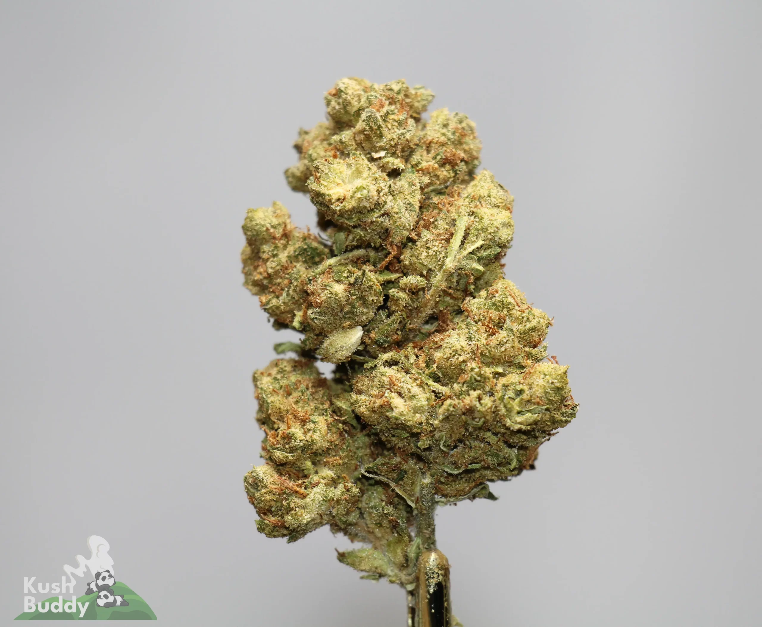 Source photograph: LA Kush Cake
