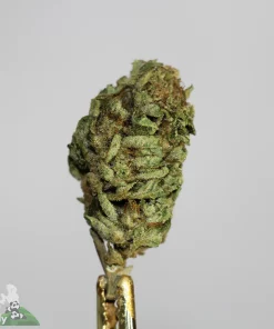 (AAA) White Widow (Medium) - Image 2