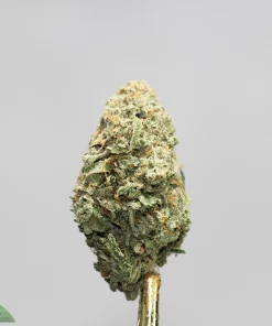 Macro close-up of a frosty cannabis bud with green and orange hairs, mounted on a gold stem; Kush Buddy logo bottom-left.