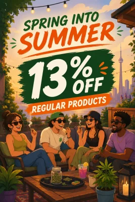 Four friends on a rooftop patio at sunset, smiling and chatting, with a bright sale banner reading 'Spring into Summer' and '13% OFF'.