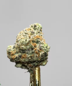 Close-up of a frosty cannabis bud with orange hairs on a metallic stem against a gray background, brand watermark bottom left.
