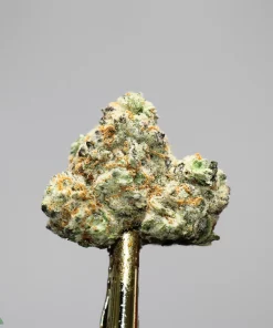 Close-up of a frosty cannabis bud on a gold stem, with a Kush Buddy watermark in the corner.