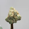Close-up of a frosty cannabis bud with green and orange hairs, mounted on a stem against a gray background.