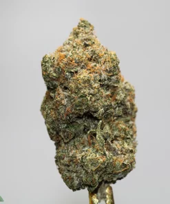 Close-up of a dense cannabis bud with frosty trichomes and orange pistils against a neutral background (brand watermark bottom left).