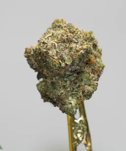 Close-up of a frosty cannabis bud with green, orange hairs and trichomes against a light gray background.