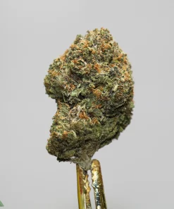 Close-up of a frosty green cannabis bud with orange pistils, mounted on a stem against a light gray background.