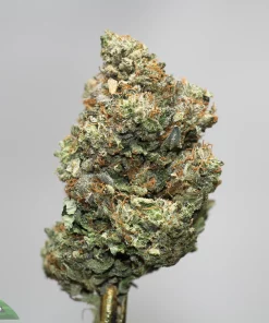 Close-up of a frosty cannabis bud with orange pistils and green trichomes, with Kush Buddy watermark in the bottom-left corner.