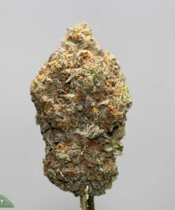 Close-up of a cannabis bud covered in frosty trichomes with orange pistils against a light gray background, featuring a partial Kush Buddy watermark in the lower-left corner.
