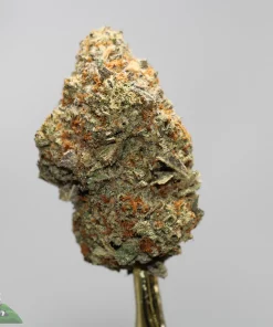 Close-up of a cannabis bud on a metal stick, showing frosty trichomes and orange pistils against a neutral background.
