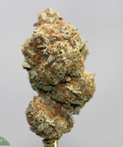 Close-up of a frosty cannabis bud with green, orange hairs and crystalline trichomes against a neutral background, macro shot suggesting texture and potency.