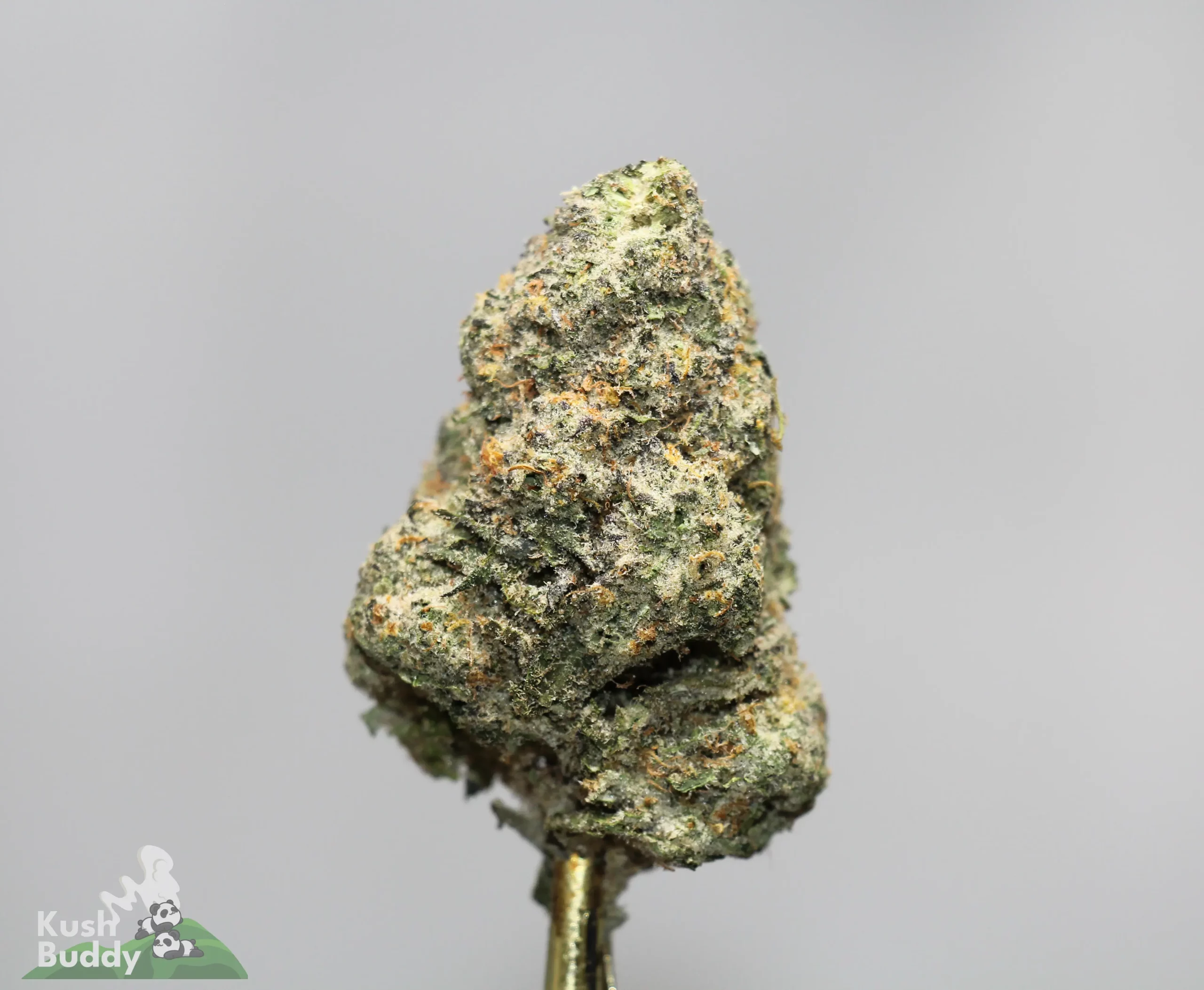 Close-up of a frosty cannabis bud with green hues, orange pistils, and dense trichomes on a pale background.