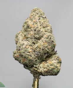 Close-up of a dense cannabis bud covered in frosty trichomes, with green and orange hues against a gray background.