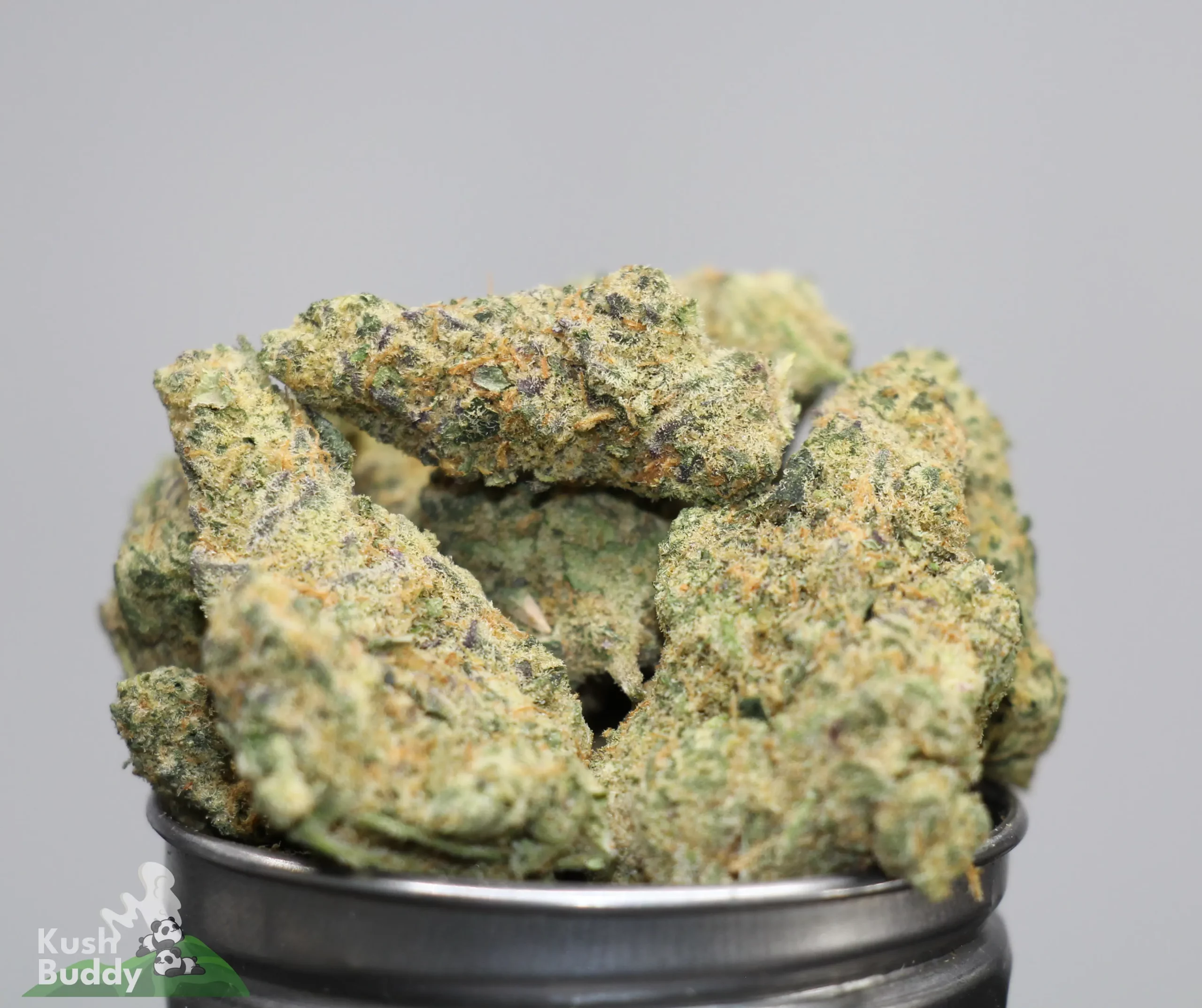 Close-up of frosty green cannabis buds with orange hairs in a metal grinder, showing dense texture and trichomes.