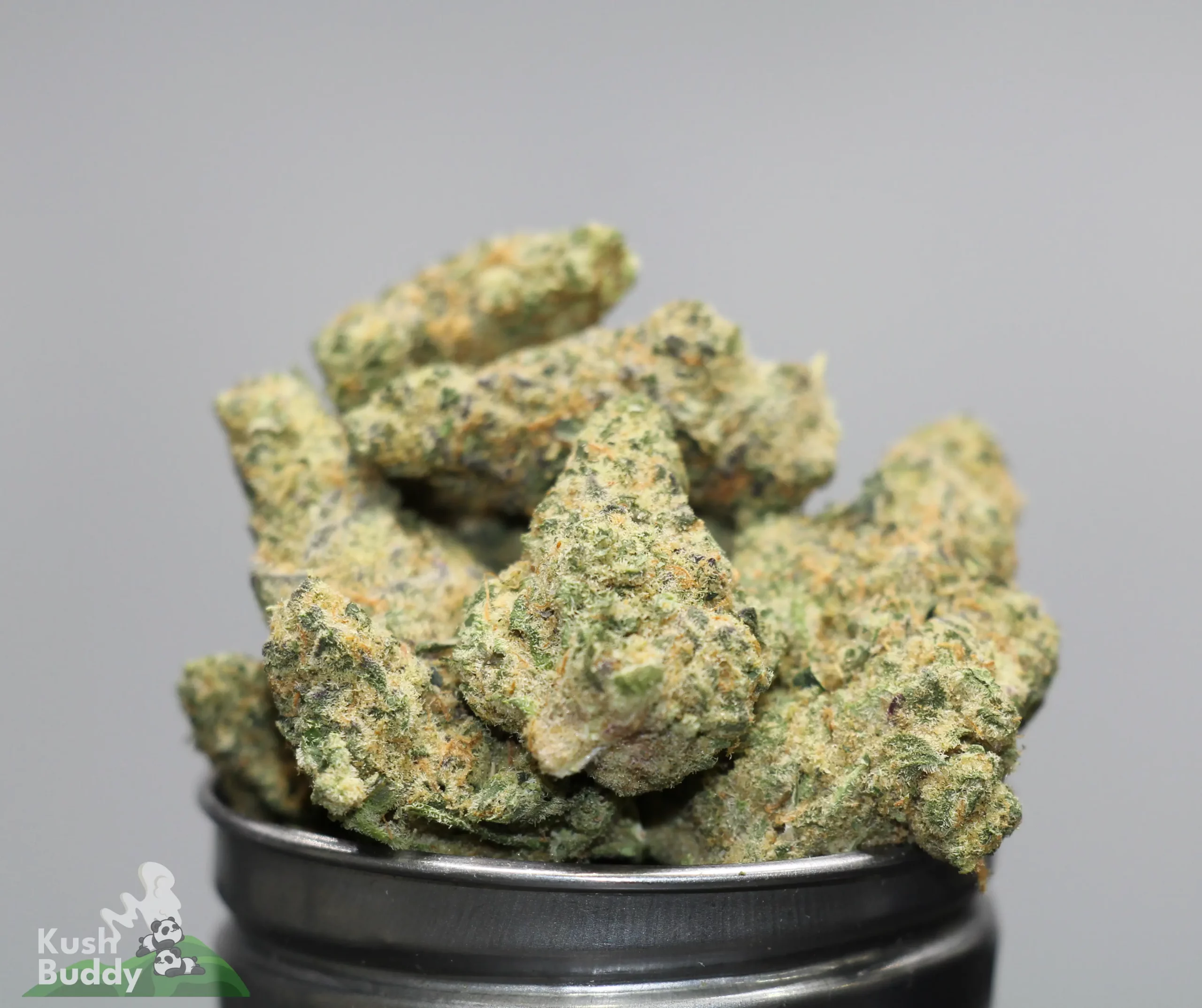 Close-up of cannabis buds with frosty crystals in a metal grinder, green with orange hairs, brand watermark visible (Kush Buddy).
