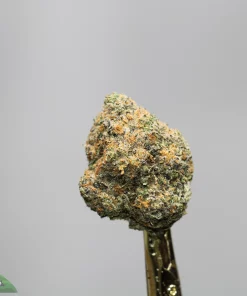 Close-up of a cannabis bud with frosty crystals, mounted on a dark stem against a gray background.