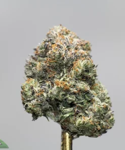 Close-up of a frosty cannabis bud with green leaves and orange hairs, logo visible in the bottom-left corner.