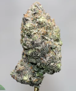 Close-up of a frosty cannabis bud with orange pistils against a gray background. Watermark reads 'Kush Buddy' in the corner.