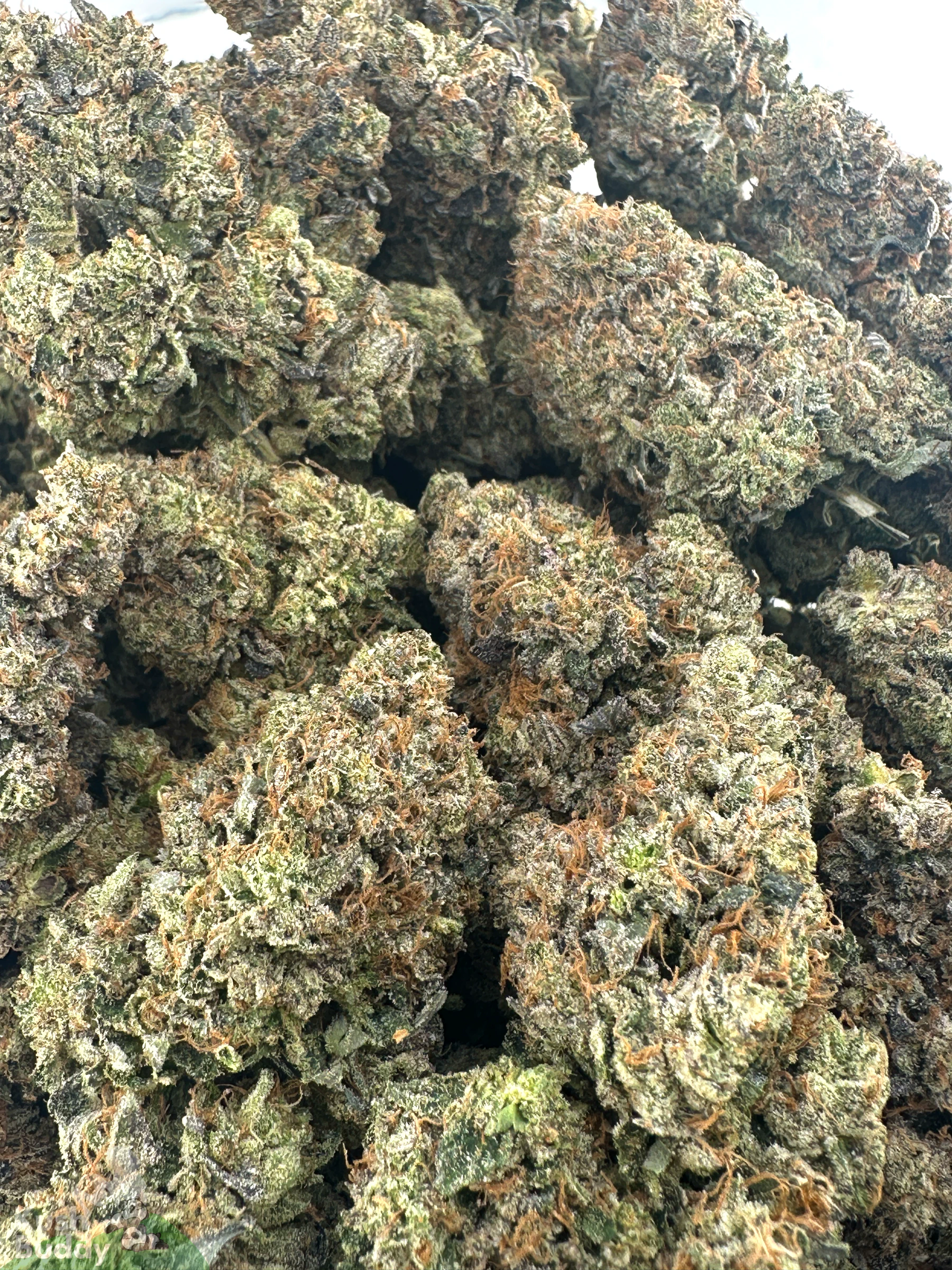Black Series - Astroman's Pink Goo (LSO) - Image 6