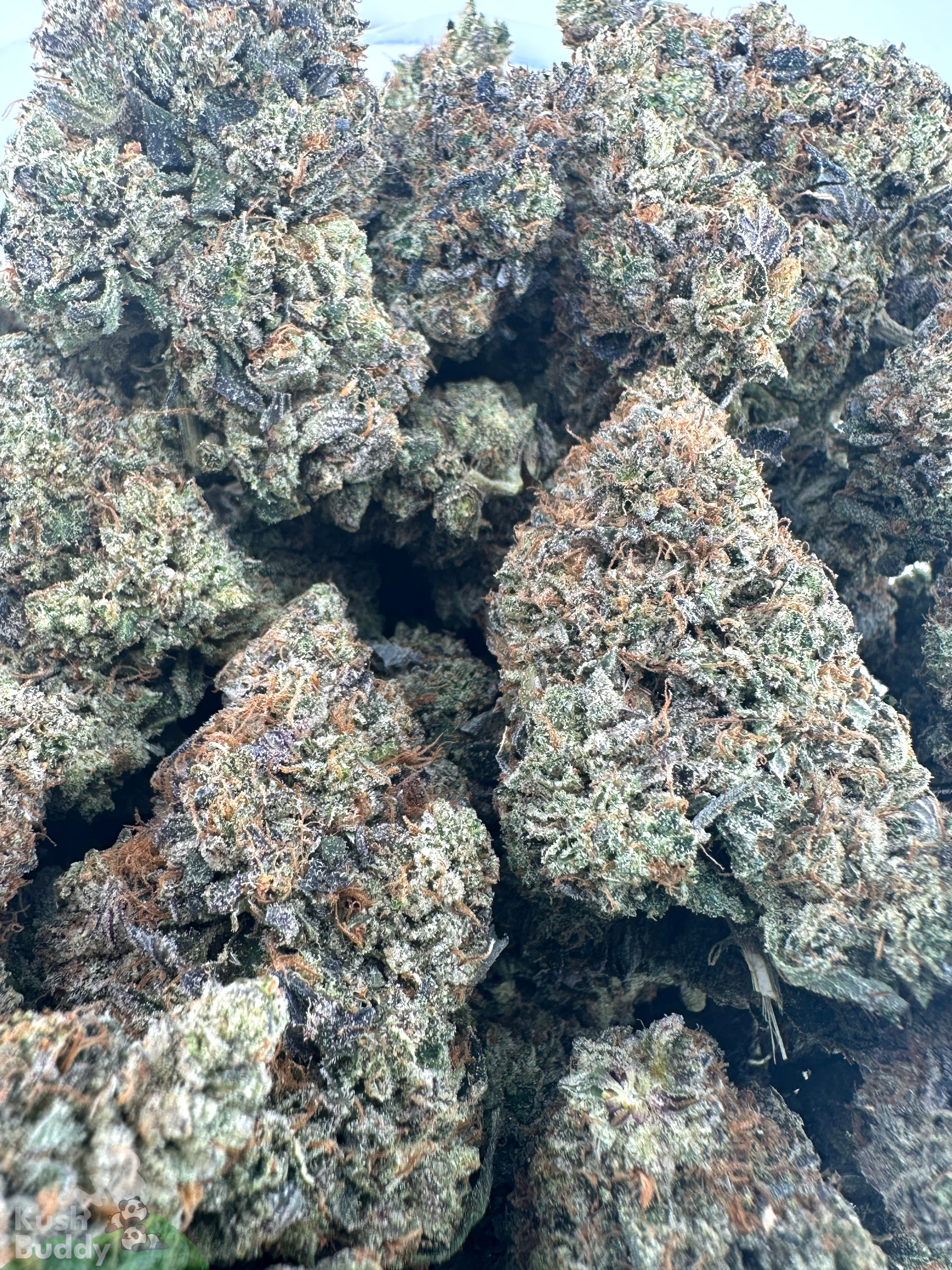 Black Series - Astroman's Pink Goo (LSO) - Image 7