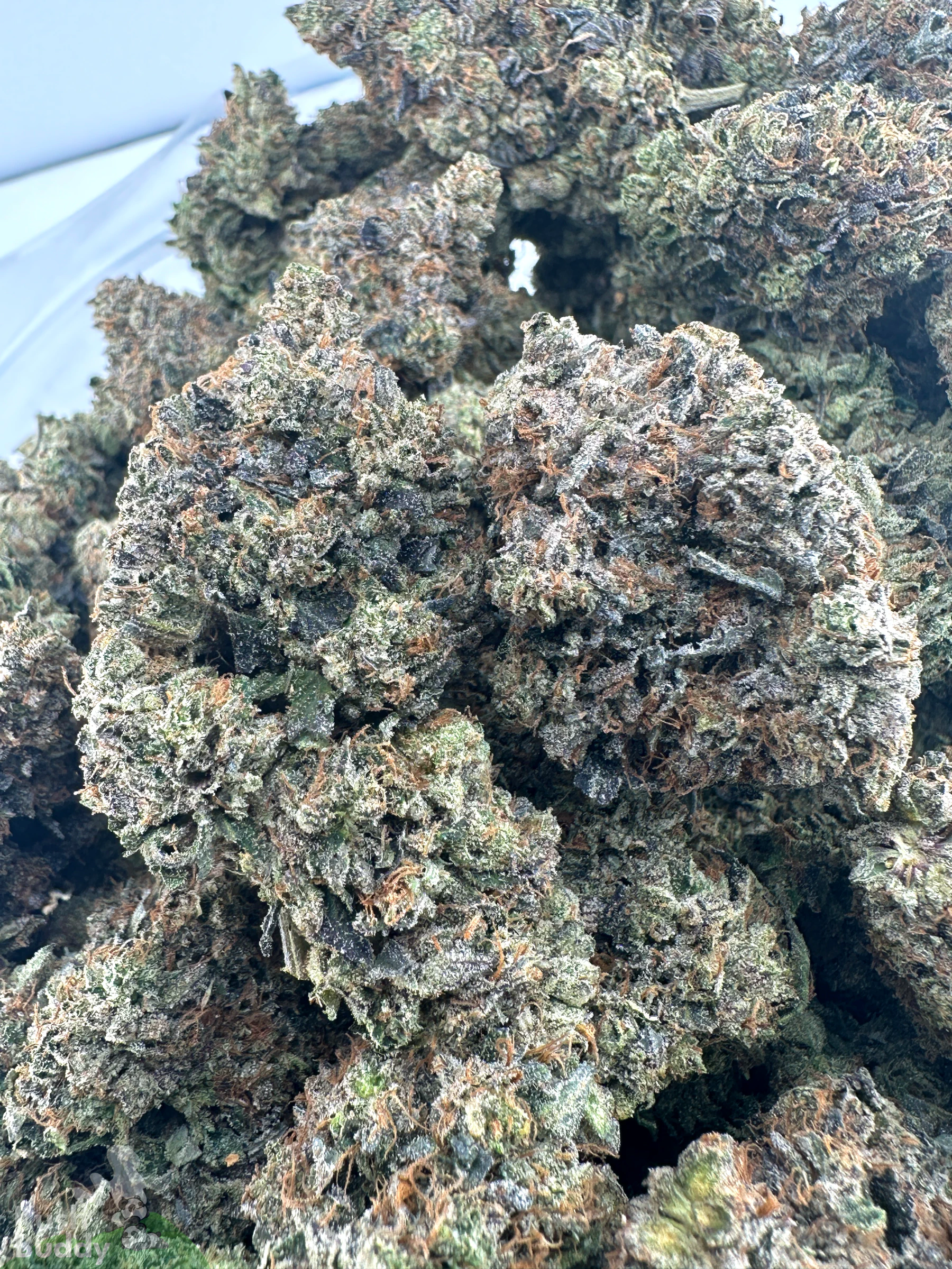 Black Series - Astroman's Pink Goo (LSO) - Image 8